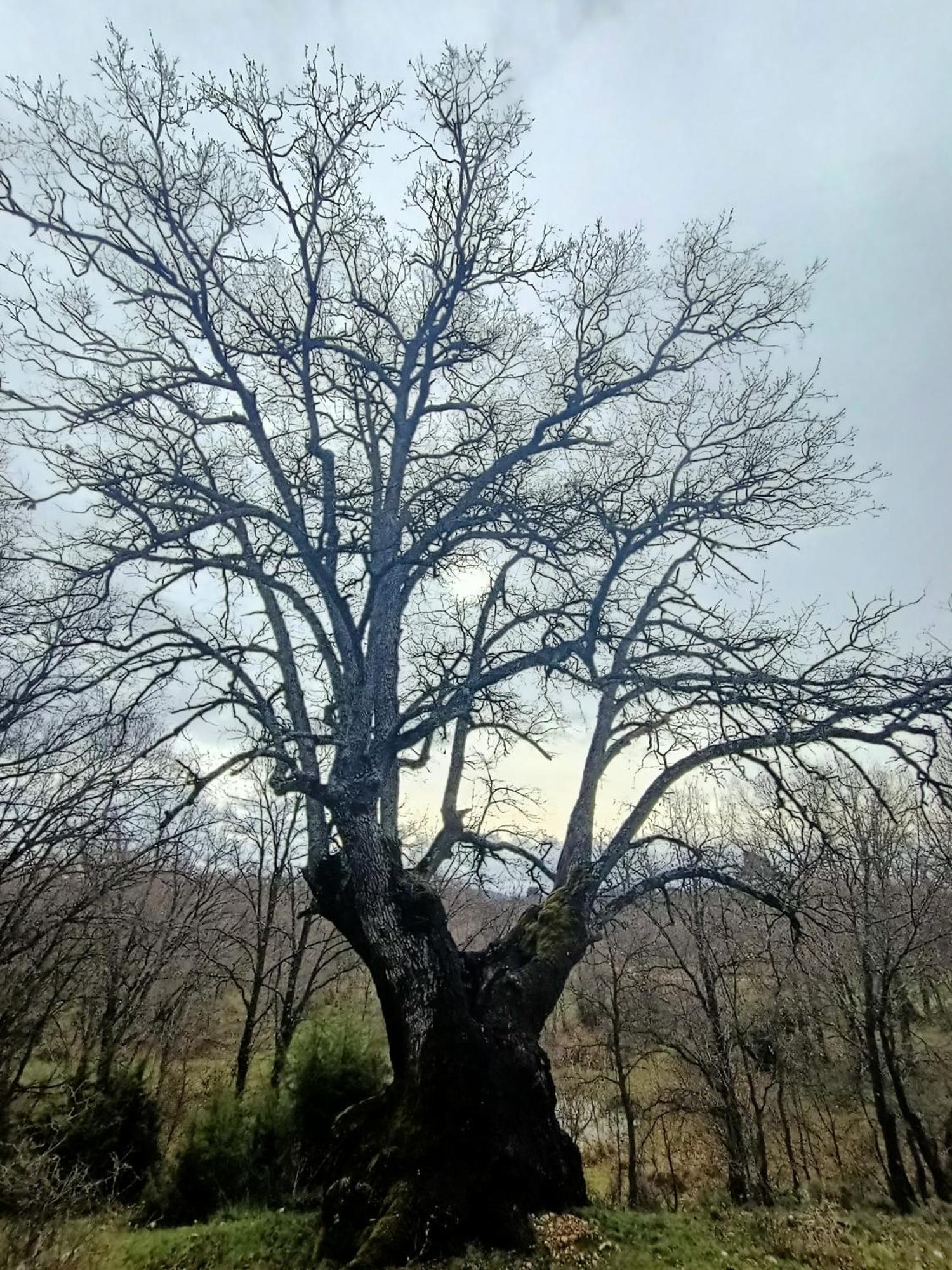 Alojamiento Rural El Cerro Fresneda de la Sierra Buitenkant foto