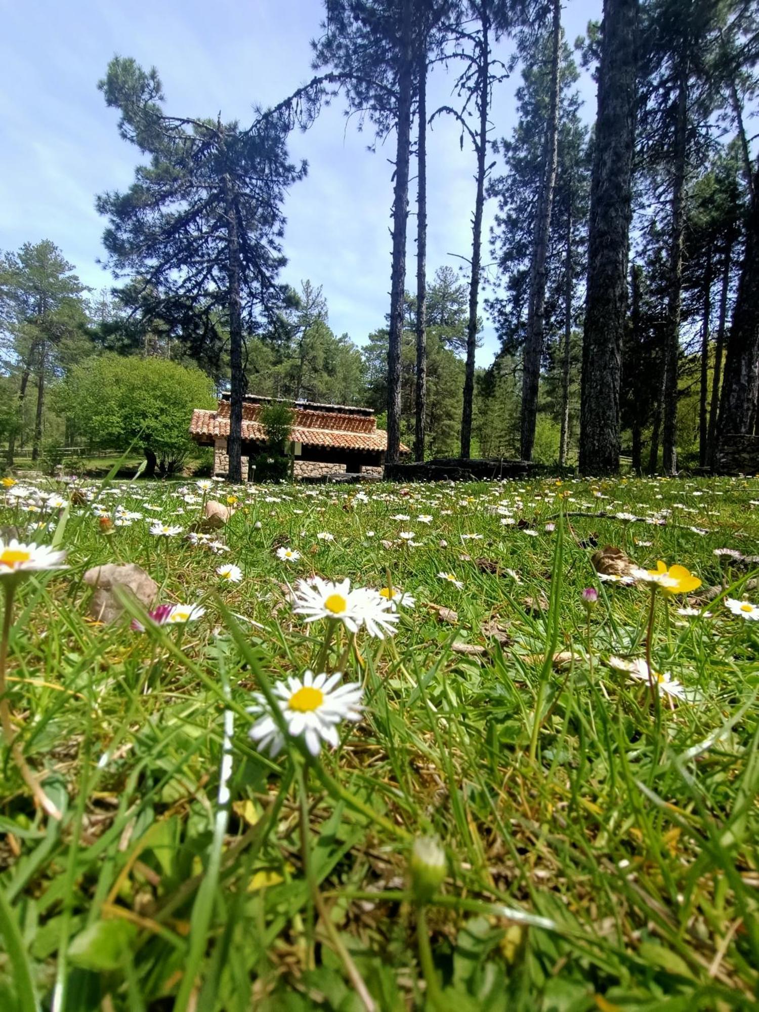 Alojamiento Rural El Cerro Fresneda de la Sierra Buitenkant foto
